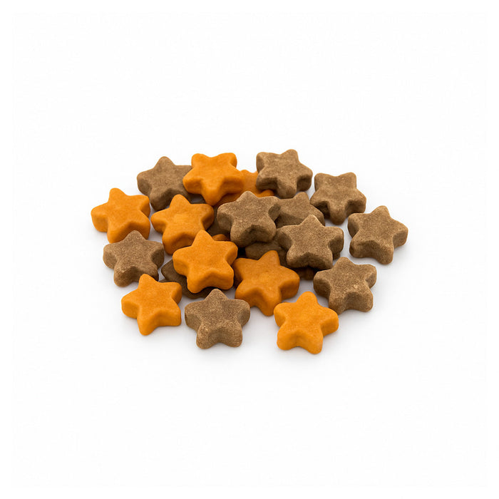 Spiced Pumpkin Blueberry Stars